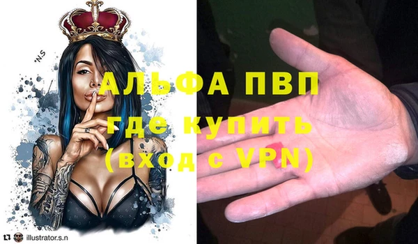 гидропоника Пересвет